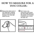 thumbnail image 4 of ZHAOCHENG Collar de cadena para mascotas de acero inoxidable El material de acero inoxidable 304 es resistente y duradero, el collar utilizado por gatos y perros de 2 mm * 40 cm, 4 of 5