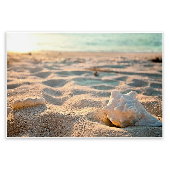 Stupell Industries Conch Shell in Sand Coastal Photography Unframed Art Print Wall Art, 15 x 10