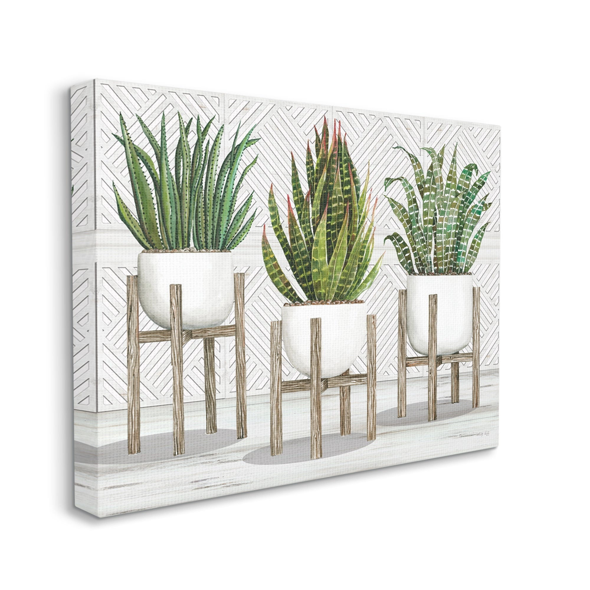 Stupell Industries Modern Aloe Plant Trio Living Room Still Life, 30 x 24,Design by Cindy Jacobs