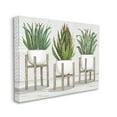 thumbnail image 3 of Stupell Industries Modern Aloe Plant Trio Living Room Still Life, 20 x 16,Design by Cindy Jacobs, 3 of 5