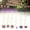 AI, variant on Purple Gold Graduation Banner, 2026 Graduation Decorations, Graduation Party Decorations, DIY Required Graduation Party Decorations Grad Banner, 2026 Graduation Banner 14Pcs Flags
