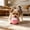 Pink, variant on Small Tough Rubber Squeaky Dog Ball Toy Bounce Chew Fetch for Small Medium Dogs Puppy Interactive Outdoor Play