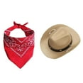 thumbnail image 1 of Disfraces de Halloween para gatos Disfraz de vaquero Sombrero de vaquero con pañuelo para Halloween Fiesta de Halloween Cosplay, 1 of 6
