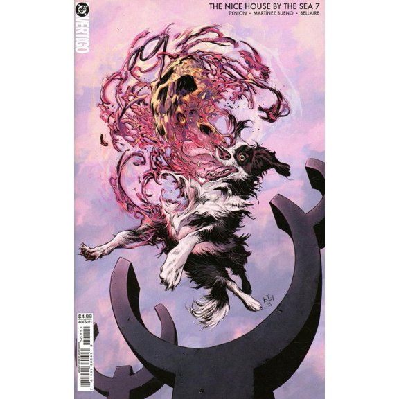 Collectible The Nice House by the Sea #7B VF ; DC Comic Book