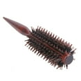 thumbnail image 3 of Fashion Hair Salon Styling Temperature Color Change Radial Round Hairdressing Barrel Curler Brushes Comb Professional, 3 of 6