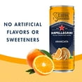 thumbnail image 6 of San Pellegrino Italian Sparkling Drink Aranciata (Pack of 5), 6 of 9