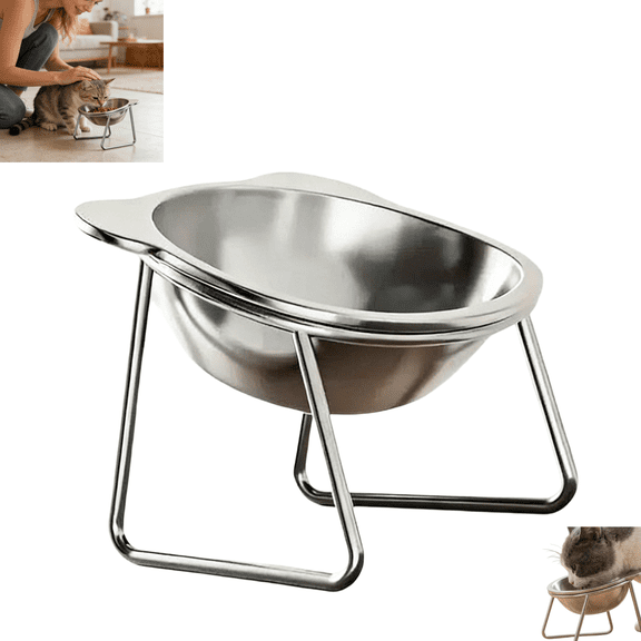 Elevated Tilted Stainless Steel Cat Bowl with Stand, Raised Slanted Pet Feeding Dish for Indoor Cats Daily Food Water Feeding
