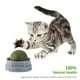 thumbnail image 3 of Pelota de hierba gatera Juguetes para gatos Lamiendo dientes Masticando Entrenamiento de mascotas Bolas de mordida (Gris) Tmvgtek Oficina Multiescena Multifunción, 3 of 9