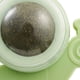 thumbnail image 2 of Bola giratoria de hierba gatera para gatos, limpieza de dientes, Molar, juguetes interactivos para mascotas (verde), 2 of 2