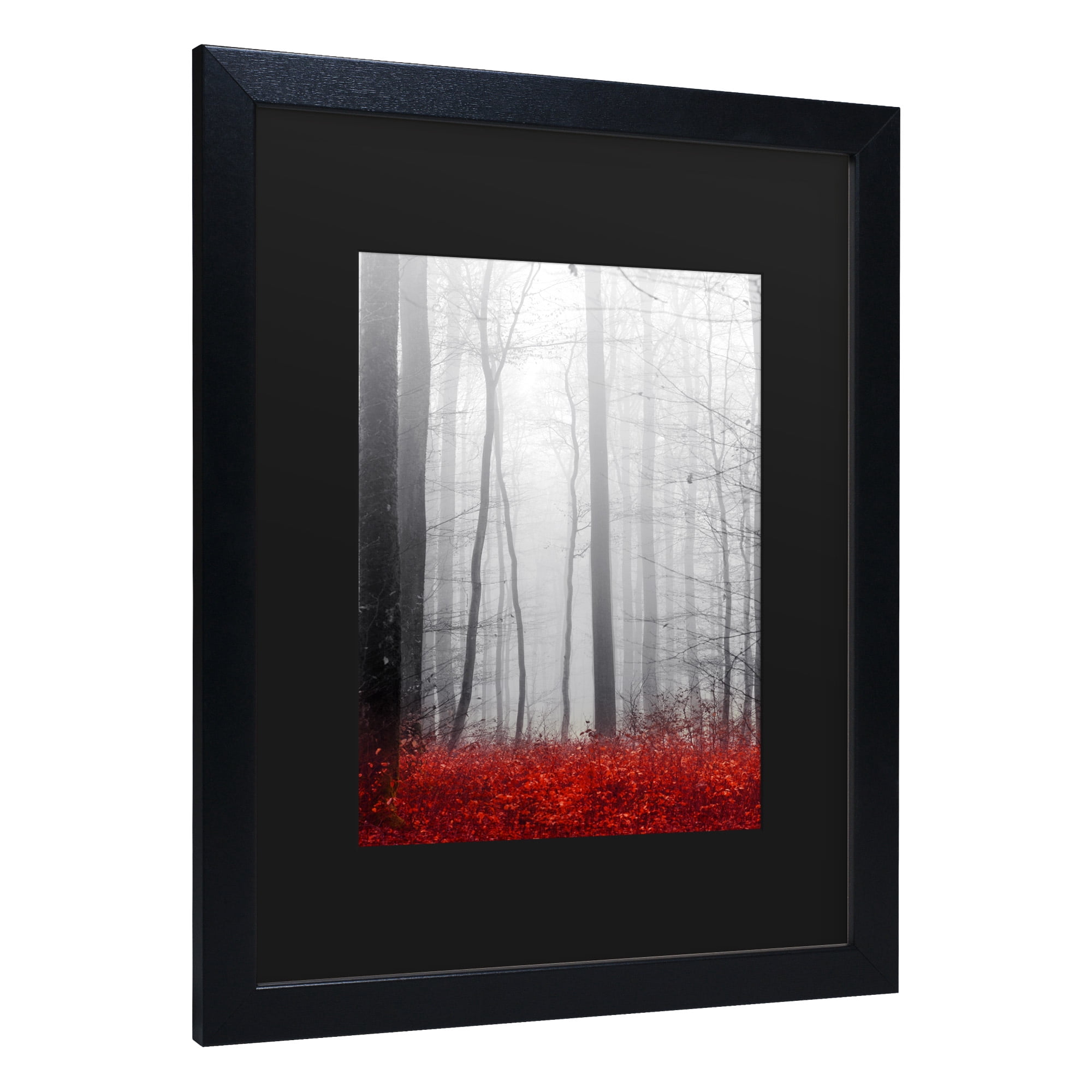 Trademark Fine Art 'Little Red Carpet' Canvas Art by Philippe Sainte-Laudy