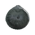 thumbnail image 4 of Achla  Scallop Shell Birdbath with Rail Mount Bracket, 4 of 9
