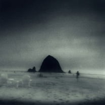 Drowse - Wane Into It - Music & Performance - Vinyl