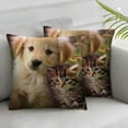 thumbnail image 2 of Nawypu  Animals Cat Kitten Dog Golden Retriever Puppy Farmhouse Pillow Cover Decorative Square Throw Pillow Cover for Sofa Couch Decoration 2pc, 2 of 6