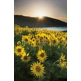 thumbnail image 2 of Audit, Lisa 23x32 Black Ornate Wood Framed with Double Matting Museum Art Print Titled - Columbia River Gorge Sunrise, 2 of 4