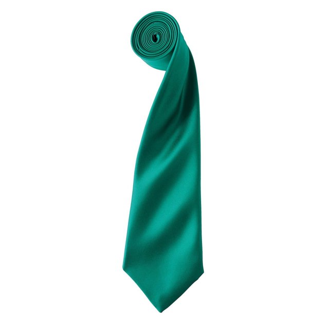 Premier Cravate en Satin Couleurs Adultes
