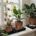 thumbnail image 4 of GIXUSIL 10Pcs 9 x 9 Inch Plastic Square Plant Saucer Large Square Plant Tray Planter Water Tray Garden Plant Pot Drainage Dish Thick Water Receiving Tray for Pots Base Indoor and Outdoor, Black, 4 of 6