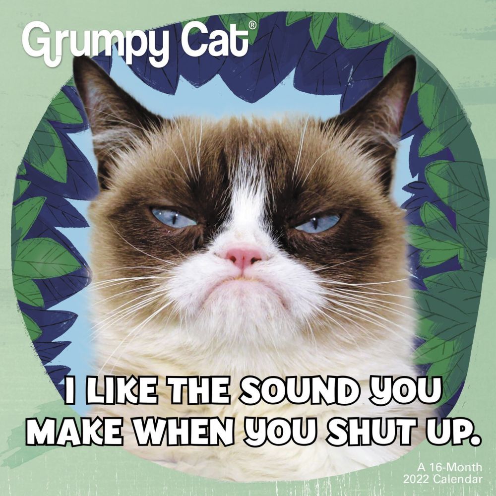 Grumpy Cat 2022 Mini Wall Calendar - Walmart.com - Walmart.com