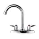 thumbnail image 3 of 2X Grifo Giratorio para Baño Cocina de Cromo de Dos Asas Pulverizador de Grifo Mezclador de Lavabo Frío, 3 of 6