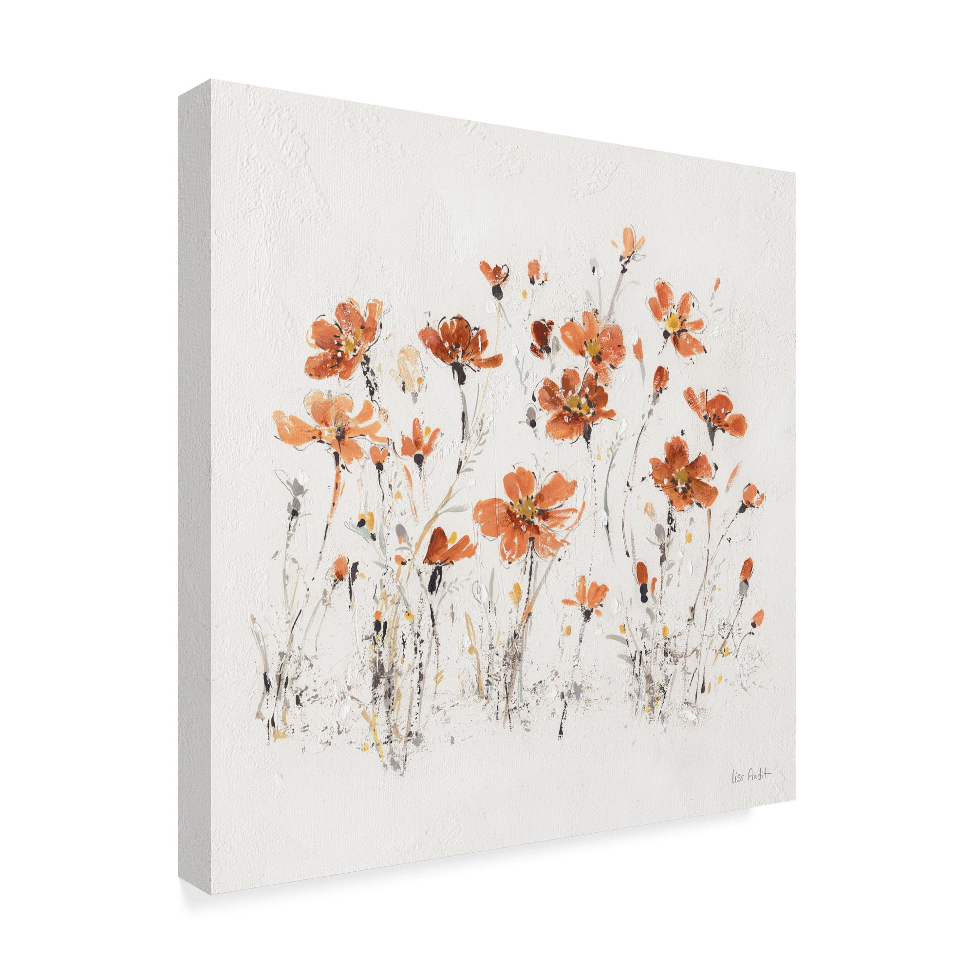 Trademark Fine Art 'Wildflowers III Orange on White' Canvas Art by Lisa Audit
