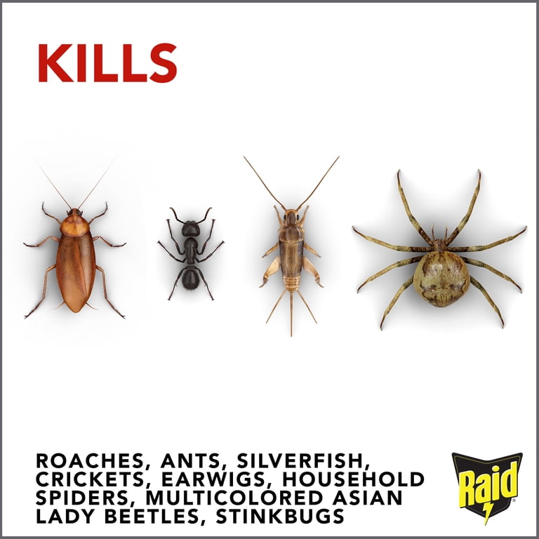 Raid Ant And Cockroach Killer Flash Sales | zkzl.poznan.pl