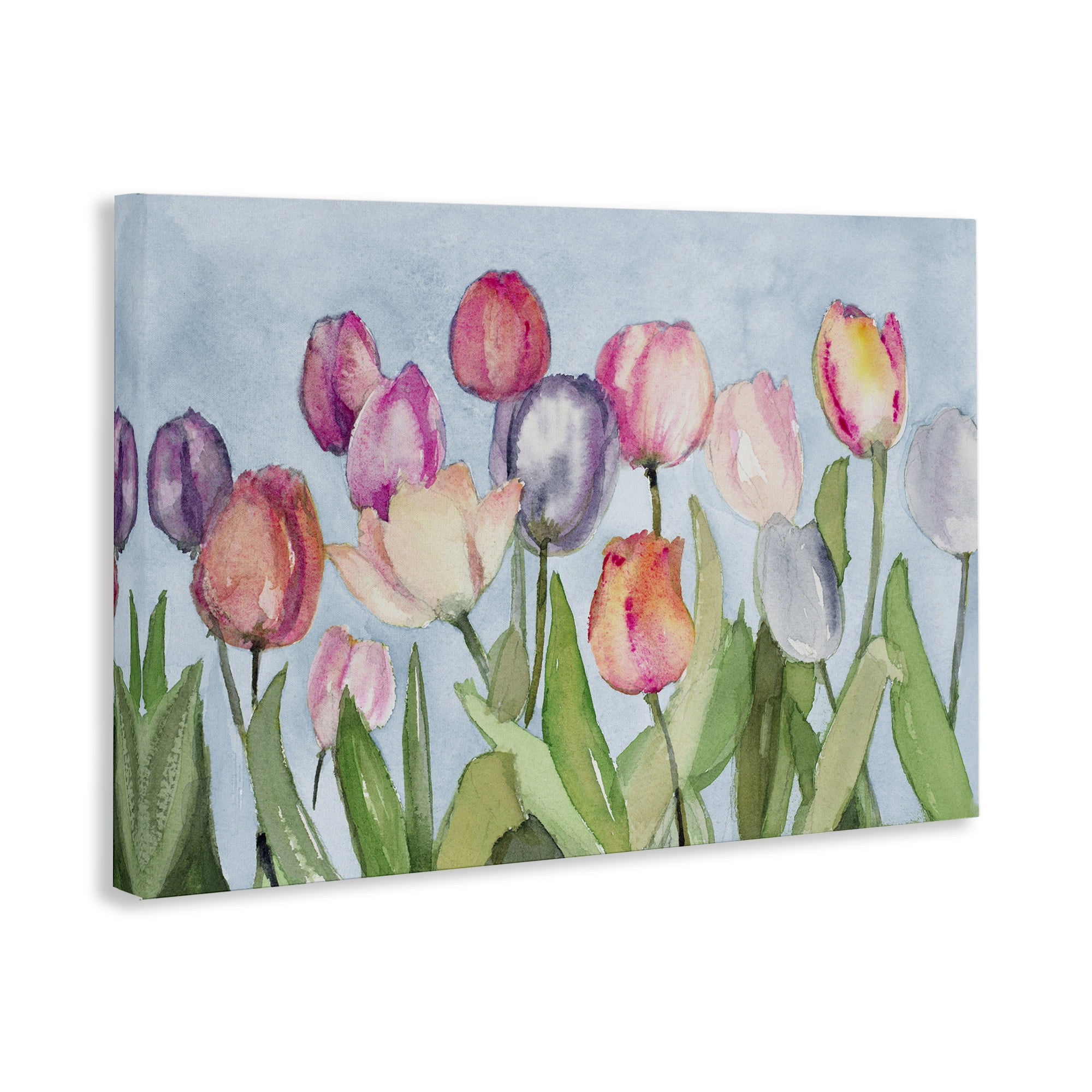 Stupell Industries Soft Tulip Field Plants & Flowers Painting Wrapped Canvas Art Print Wall Art, 24 x 16