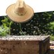 thumbnail image 5 of Scienceny Sombrero de apicultura ajustable con velo Sombrero de apicultor universal con red anti-abejas Suministros de apicultura para apicultores de Jardín y Patio Scienceny TO004939-00, 5 of 6