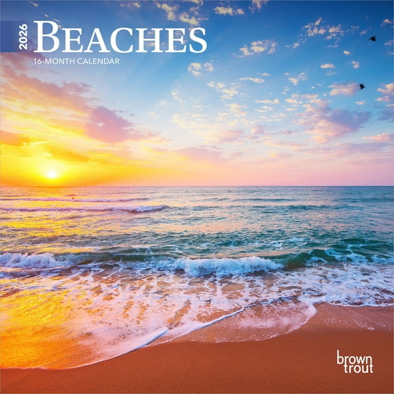 Beaches | 2026 7x14" (Hanging) Mini Wall Calendar | BrownTrout