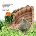 thumbnail image 1 of Plato alimentador de agua cuenco de agua para reptiles cuencos de comida para lagartos plato de agua para serpientes para reptiles mascotas ANGGREK Otros, 1 of 8