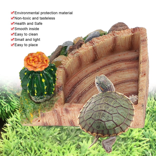 Plato alimentador de agua cuenco de agua para reptiles cuencos de comida para lagartos plato de agua para serpientes para reptiles mascotas ANGGREK Otros