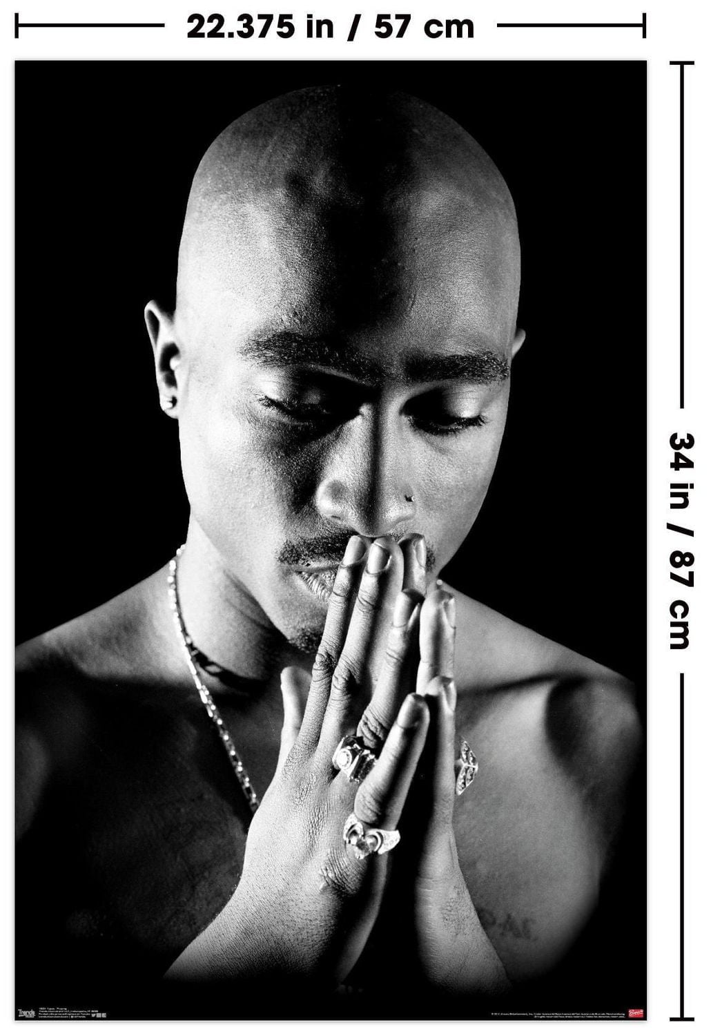 Tupac - Praying Wall Poster, 22.375" x 34"