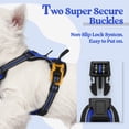 thumbnail image 3 of Arnés para perros Rabbitgoo, ajustable, sin tirones, azul deslumbrante, XS, 3 of 8