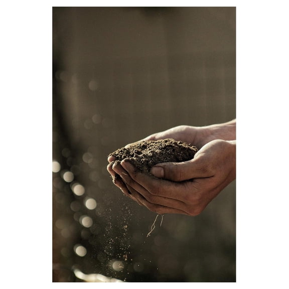 Autoflower Living Soil Concentrate for Super Soil