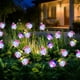 thumbnail image 1 of Luces solares para exteriores, mariposas solares para exteriores, luces oscilantes para jardín, patio, césped, paisajes decorativos, iluminación para patio, patio trasero y caminos, lámpara de pie de, 1 of 6