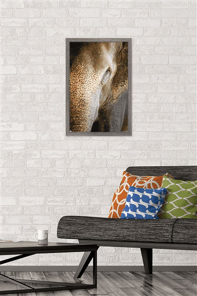 Beth Sheridan - Indian Elephant Wall Poster, 14.725" x 22.375", Framed