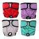 thumbnail image 1 of Teamoy 4 pañales lavables para perros femeninos, pañales reutilizables para perros femeninos, súper absorbentes y cómodos, pequeños, 1 of 5