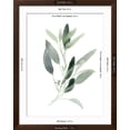 thumbnail image 3 of Art.com Simple Sage III Art Print by Emma Scarvey, Brown Frame Wall Art, 32" x 40", 3 of 3