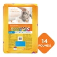 Purina Kitten Chow Nurture Dry Cat Food Muscle & Brain Development