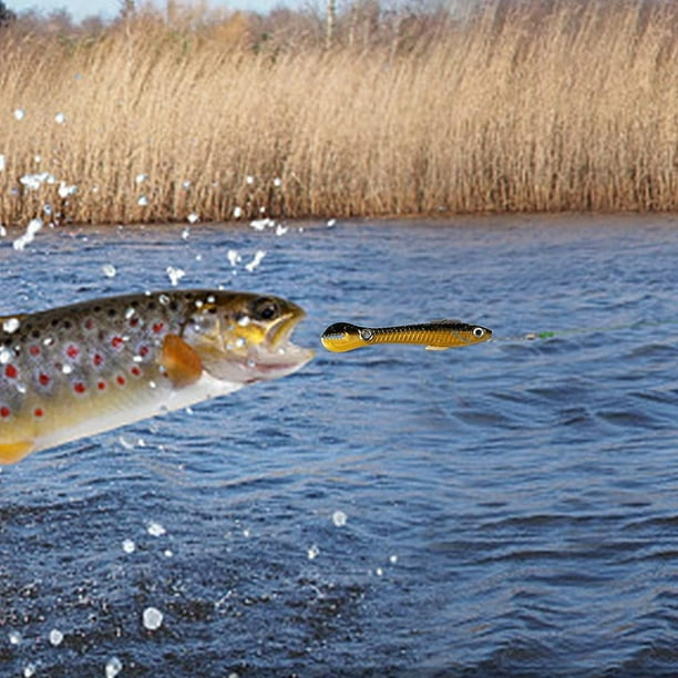 Juego de señuelos de pesca de 10 piezas, señuelos de natación, señuelos de pesca que se hunden, señuelos de plástico blando Swimbaits, cebo artificial, accesorios de pesca con cebo artificial para XianweiShao 8390613988133