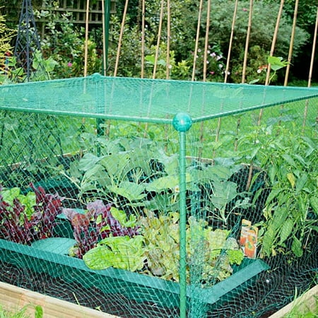 Anti Bird Pond Netting Net Plants Veg Crops Fruit Protect Garden Fine ...