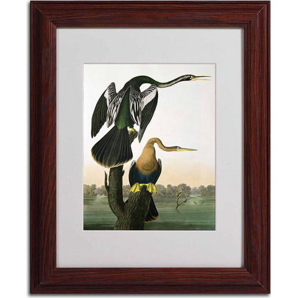 Trademark Fine Art "Black-Billed Darter" Canvas Art by John James Audubon, Wood Frame