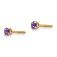 thumbnail image 2 of Boucles d'Oreilles Clous en Or Jaune 14k Pierre de Naissance Améthyste Simulée 3 mm Février Février, 2 of 7