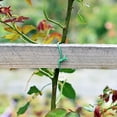 thumbnail image 3 of XingJian LLC Attache Torsadée Douce pour Tomates, Roses et Vignes - Support de Plantes de Jardin en Fil Métallique, 3 of 6