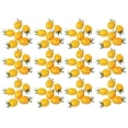 thumbnail image 1 of 100pcs Delicious Tomato Seeds Productive Vegetable Garden Seeds for Planting Outdoor, 1 of 9
