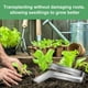 thumbnail image 4 of Pinzas para Trasplante de Plántulas: Pinzas para Trasplante de Plantas de Jardinería de Acero Inoxidable de 8,7 Pulgadas para Reducir el Daño A las Raíces, 4 of 8