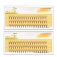 thumbnail image 1 of Pestañas artificiales, 2 cajas de pestañas individuales, pestañas postizas, pestañas en racimo, instalación sin esfuerzo, 1 of 8