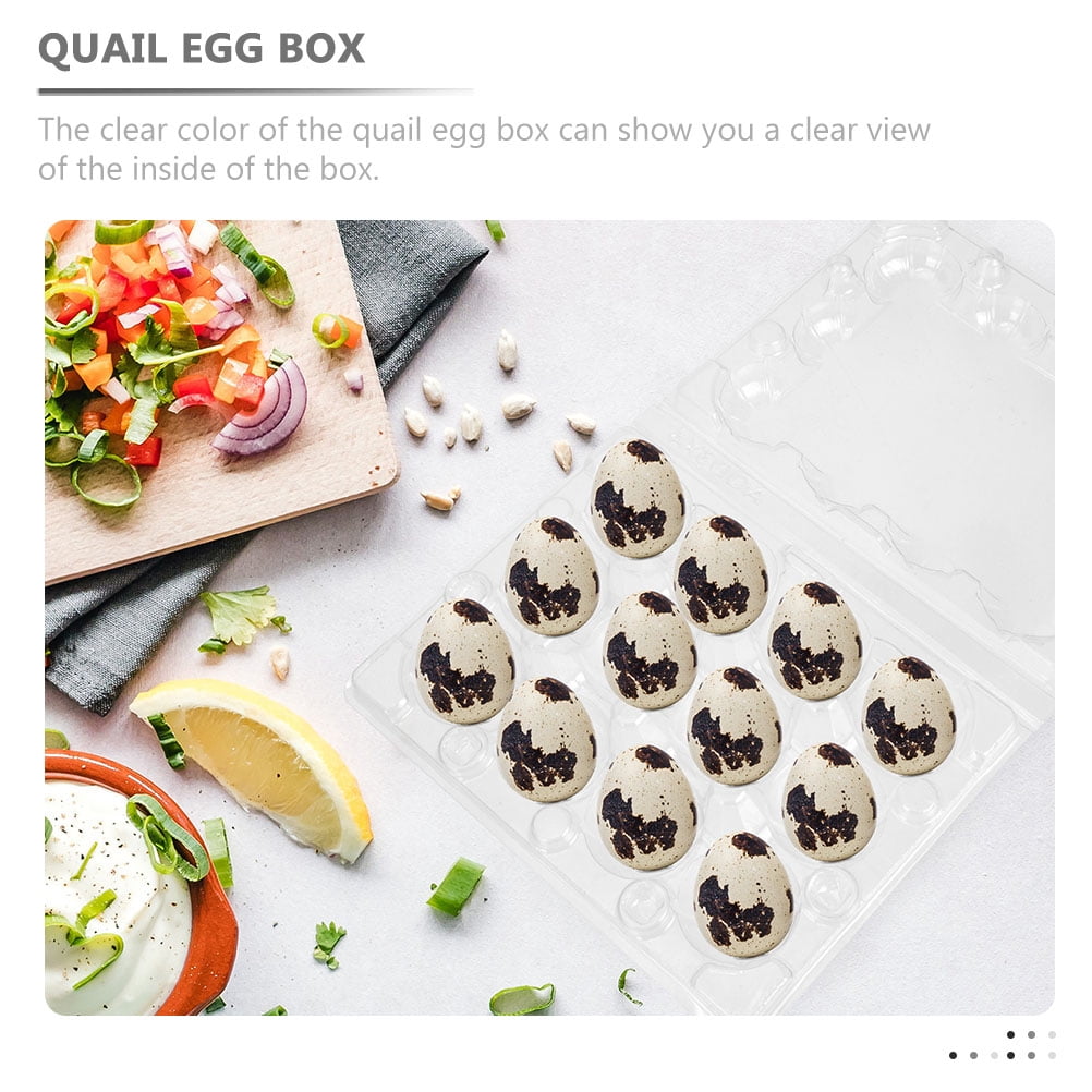 BESTOYARD Transparent Plastic Quail Egg Holder for Easy Viewing and Storage, 100Pcs