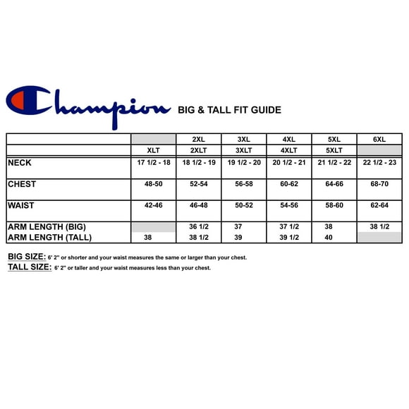 Champion Mens Big and Tall Fleece Logo Lounge Workout Sweatpants