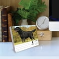thumbnail image 3 of Just Labs 2026 Box Calendar, (Paperback), 3 of 5