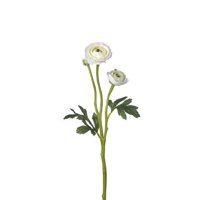 Sage & Co. Fleur Ranunculus Spray (Set of 24)