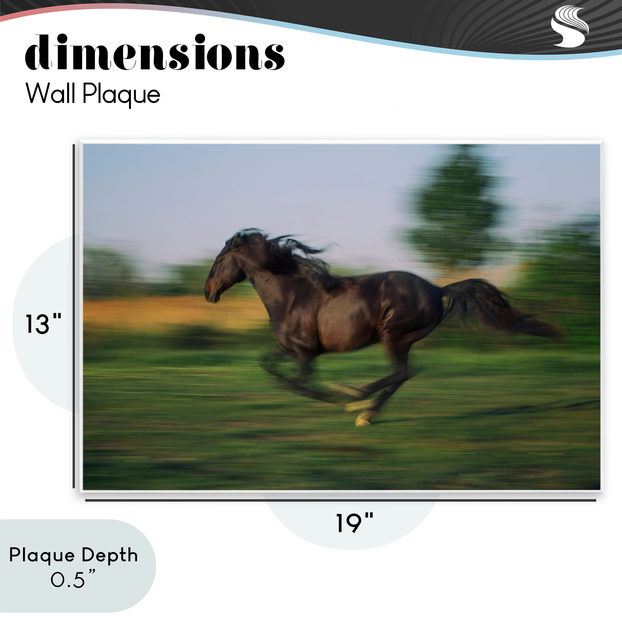 Stupell Industries Dashing Camargue Racehorse Wall Plaque Art, design by Scott Stulberg